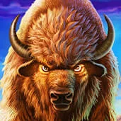 Buffalo Blitz Buffalo Blitz